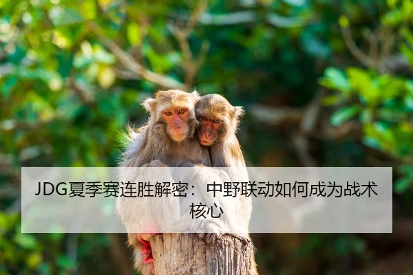 JDG夏季赛连胜解密：中野联动如何成为战术核心