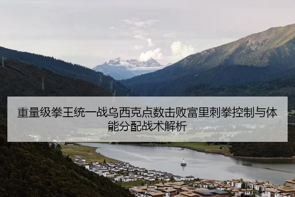 重量级拳王统一战乌西克点数击败富里刺拳控制与体能分配战术解析